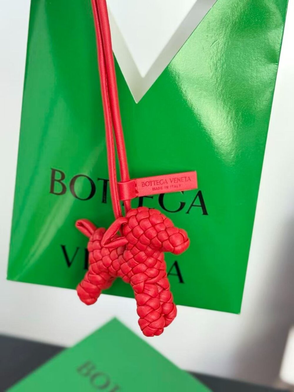 🌵Bottega Veneta dog charm